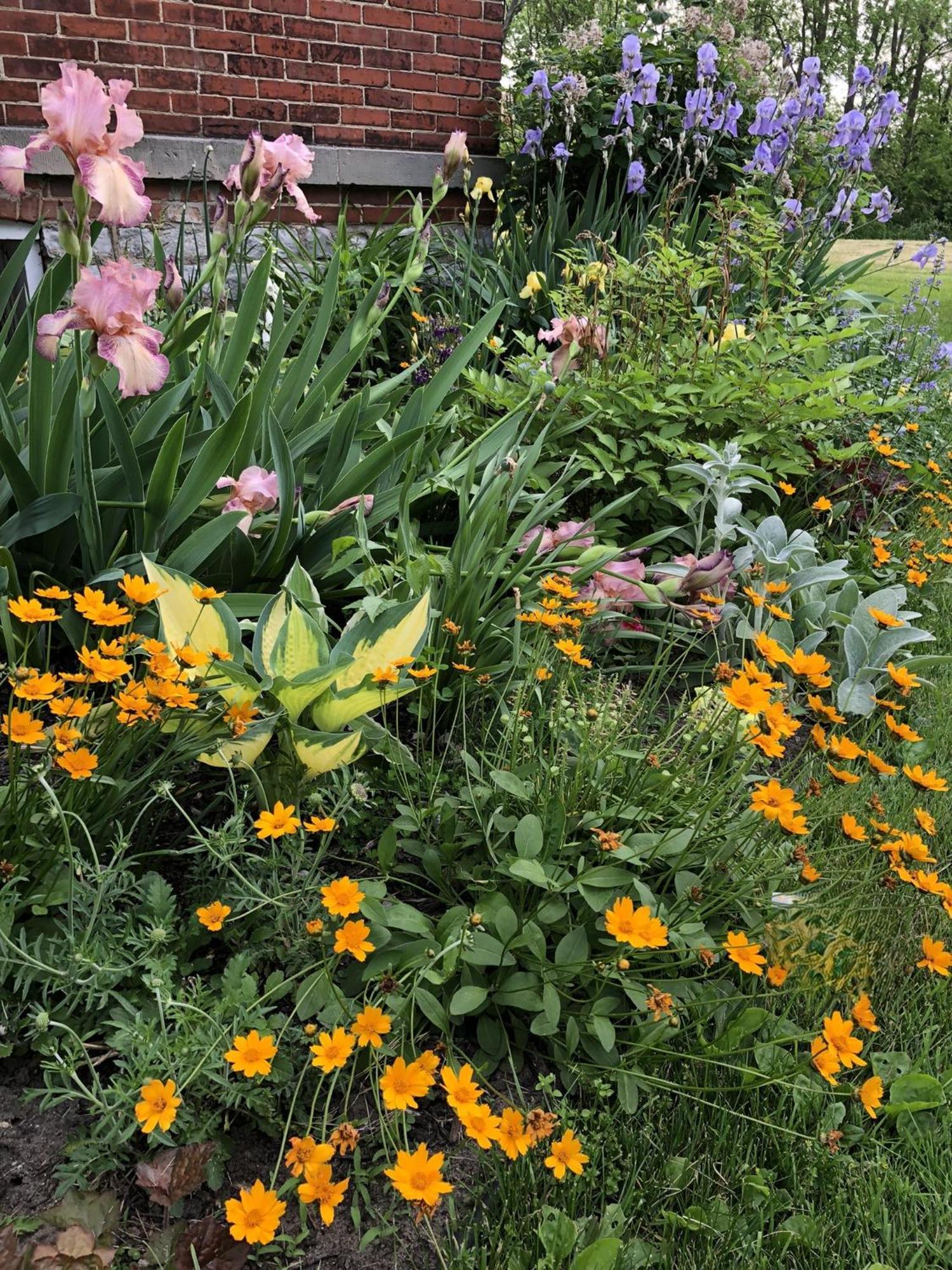 The Vine Bed & Breakfast, Llc Dundee Exteriör bild