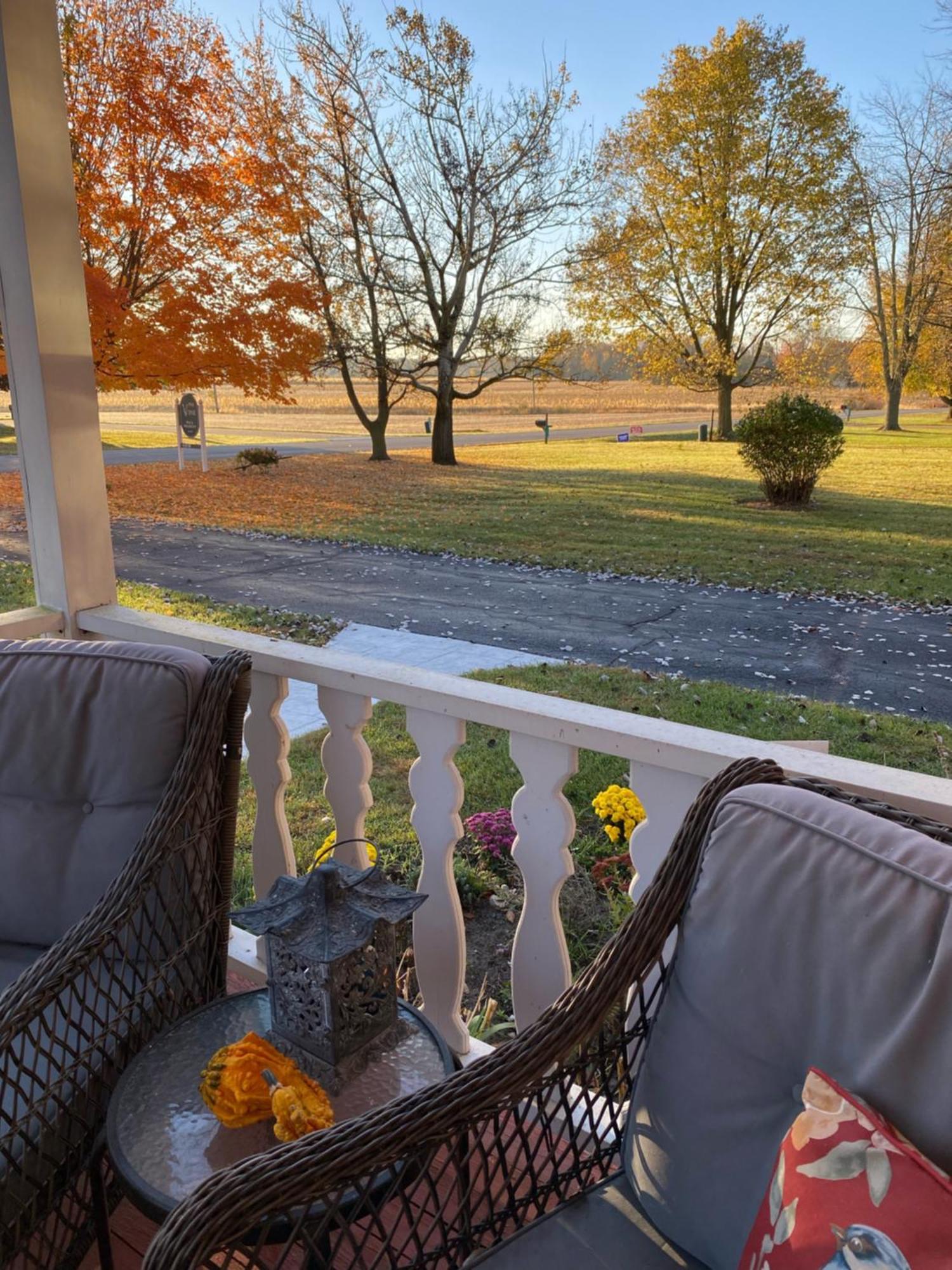 The Vine Bed & Breakfast, Llc Dundee Exteriör bild